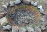 Example of a firepit using stones Image of a firepit using stones